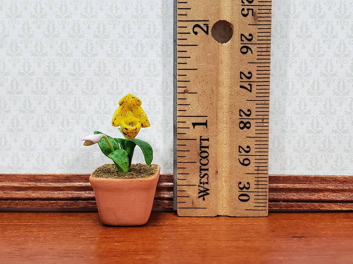 Dollhouse Cup Orchid Yellow Plant in Terra Cotta Planter 1:12 Scale Miniature Decor - Miniature Crush
