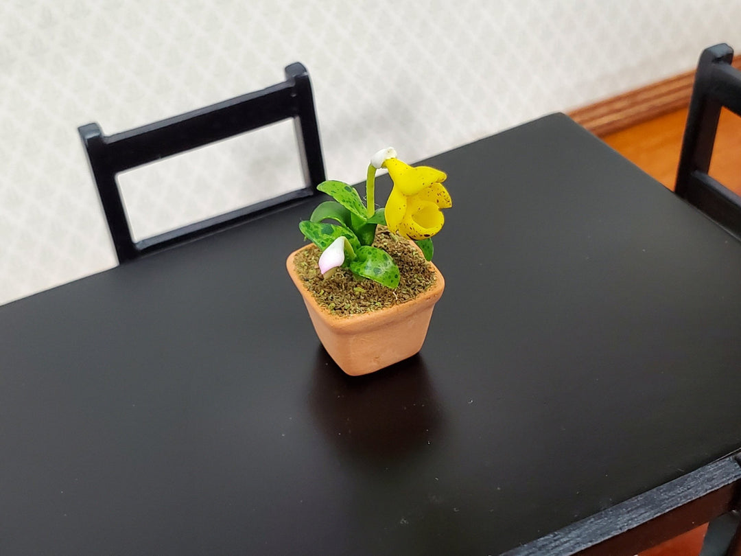 Dollhouse Cup Orchid Yellow Plant in Terra Cotta Planter 1:12 Scale Miniature Decor - Miniature Crush