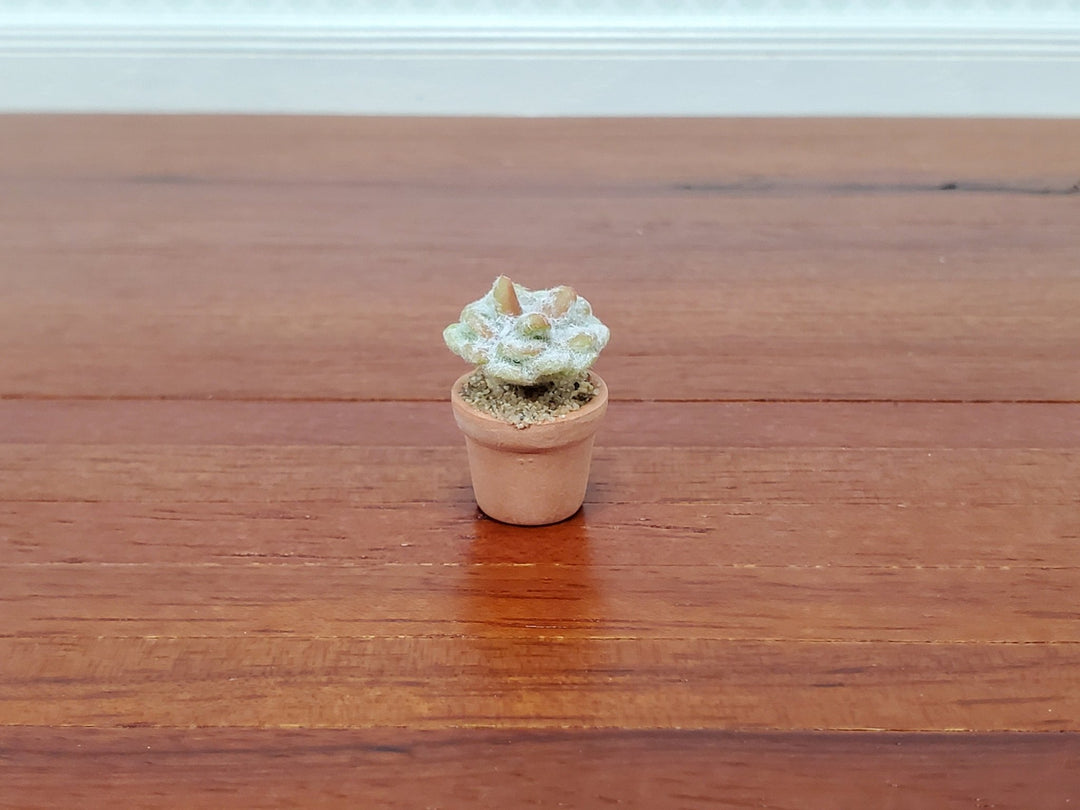 Dollhouse Fuzzy Cactus Small in Terra Cotta Planter 1:12 Scale Miniature Houseplant - Miniature Crush