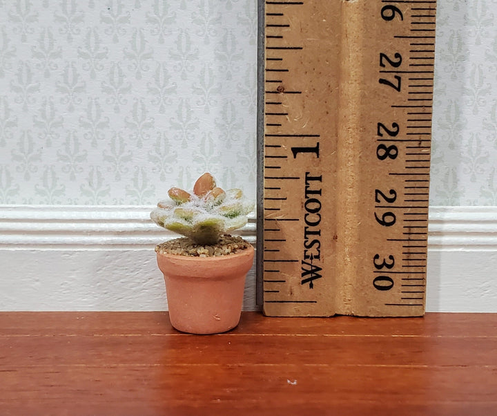 Dollhouse Fuzzy Cactus Small in Terra Cotta Planter 1:12 Scale Miniature Houseplant - Miniature Crush