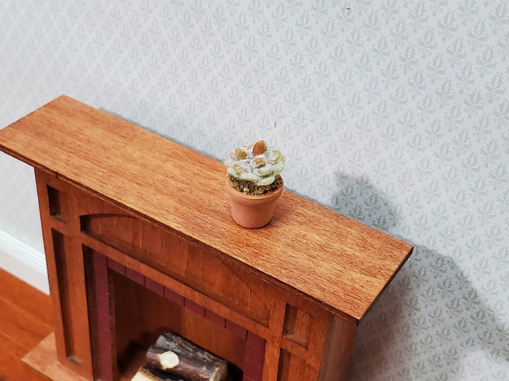 Dollhouse Fuzzy Cactus Small in Terra Cotta Planter 1:12 Scale Miniature Houseplant - Miniature Crush