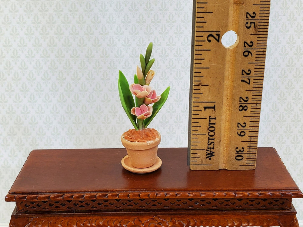 Dollhouse Gladiolus Flowers in Terra Cotta Planter Pot 1:12 Scale Garden by Falcon Miniatures - Miniature Crush