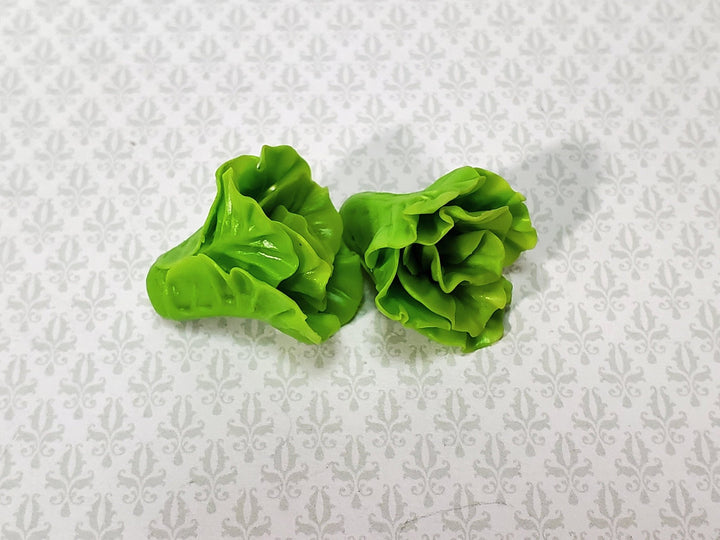 Dollhouse Green Leaf Lettuce 2 Heads 1:12 Scale Miniature Kitchen Food Vegetables - Miniature Crush