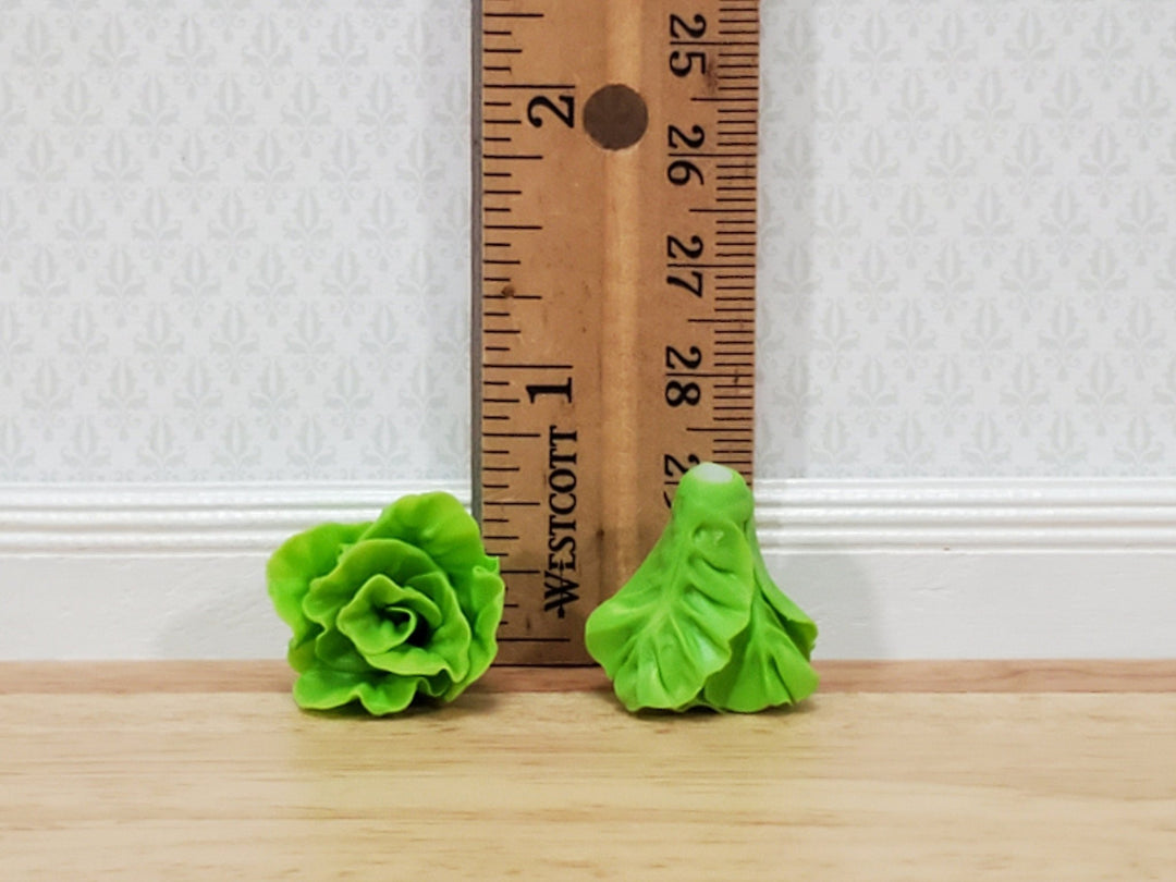 Dollhouse Green Leaf Lettuce 2 Heads 1:12 Scale Miniature Kitchen Food Vegetables - Miniature Crush