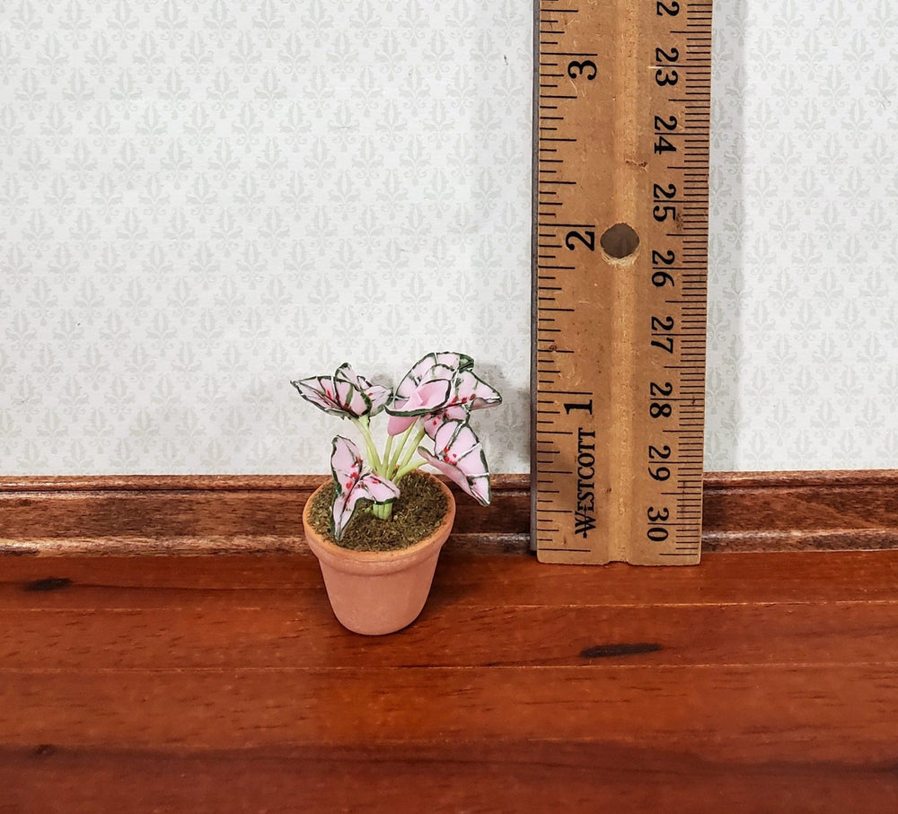 Dollhouse Houseplant Caladium Potted Plant 1:12 Scale Miniature in Terra Cotta Pot - Miniature Crush