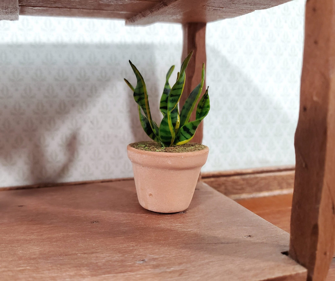 Dollhouse Houseplant Snake Plant Sansevieria in a Terra Cotta Pot 1:12 Scale Miniature - Miniature Crush