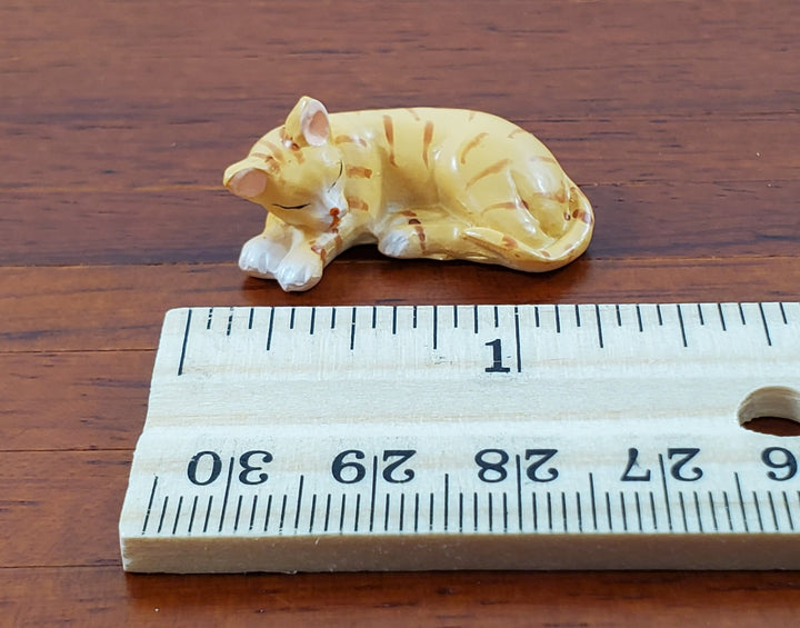 Dollhouse Kitty Cat Orange Tabby Sleeping Curled Up 1:12 Scale Miniature Pet - Miniature Crush