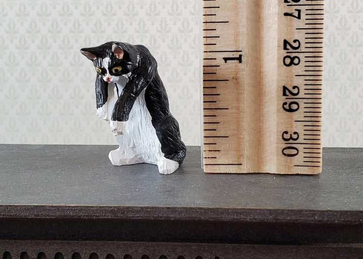 Dollhouse Kitty Cat Tuxedo Black White Mischievous Climbing 1:12 Scale Miniature - Miniature Crush