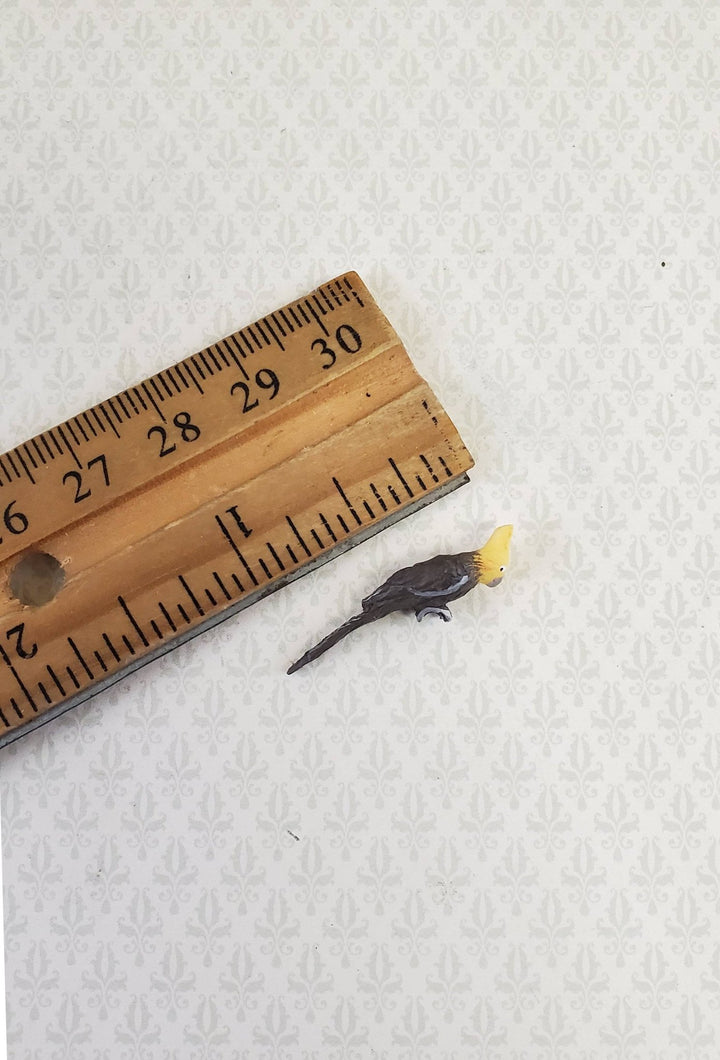 Dollhouse Miniature Bird Gray Yellow Cockatiel 1:12 Scale Falcon Miniatures - Miniature Crush