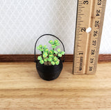 Dollhouse Miniature Clovers Shamrocks 4 Leaf in Cauldron Style Pot Plants Garden - Miniature Crush