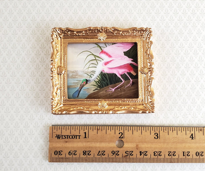 Dollhouse Miniature Framed Bird Print Roseate Spoonbill John James Audubon 1:12 Scale - Miniature Crush