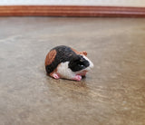 Dollhouse Miniature Guinea Pigs Set of 3 1:12 Scale Pet Black White Brown Orange - Miniature Crush