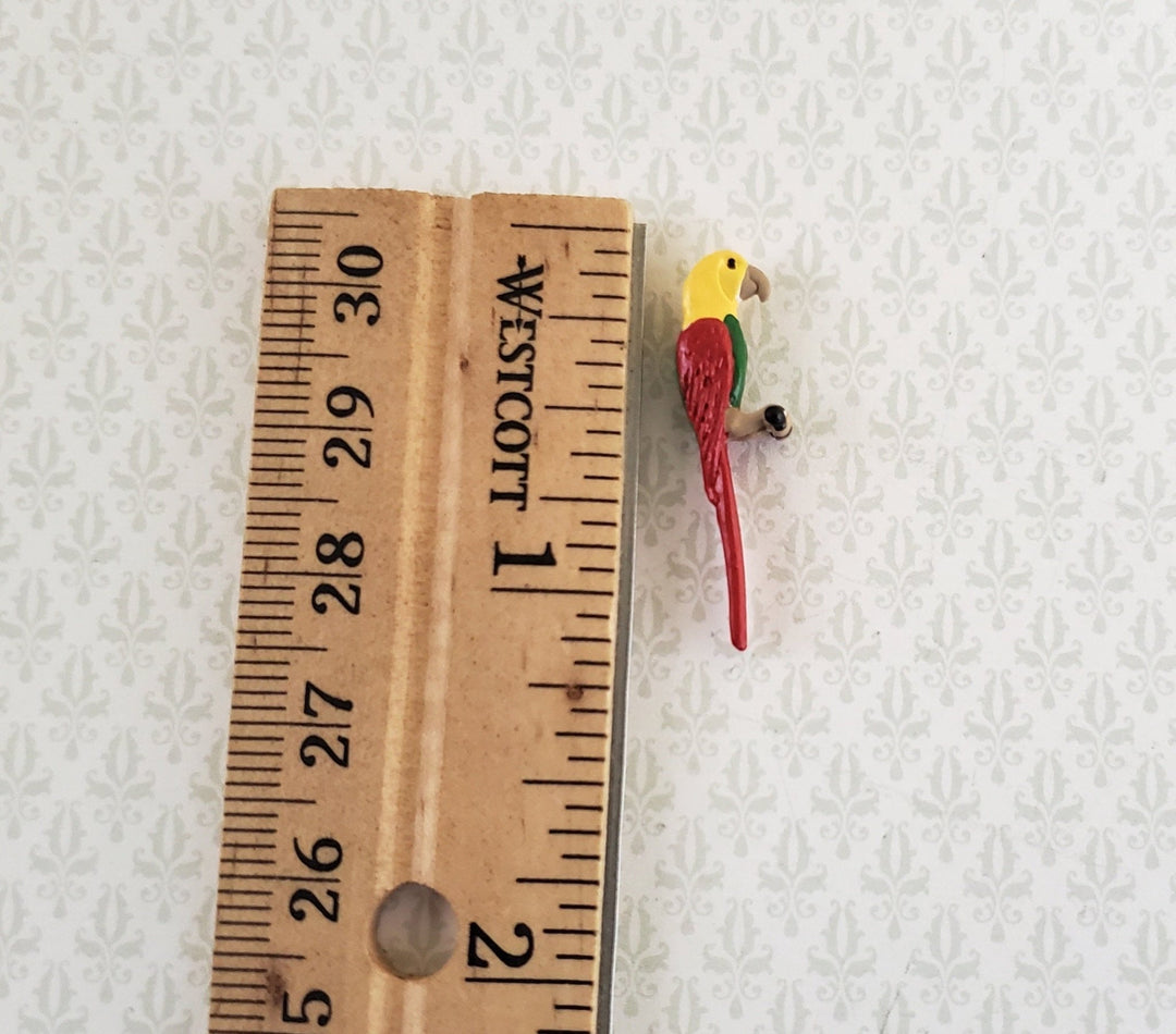 Dollhouse Miniature Half Scale Parrot Red Green Yellow Metal 1:24 Bird - Miniature Crush