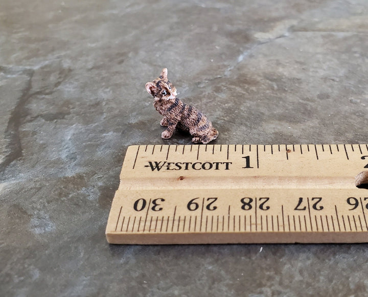 Dollhouse Miniature Kitten Tabby Brown Stripes Sitting 1:12 Scale A3457BR Falcon Miniatures - Miniature Crush