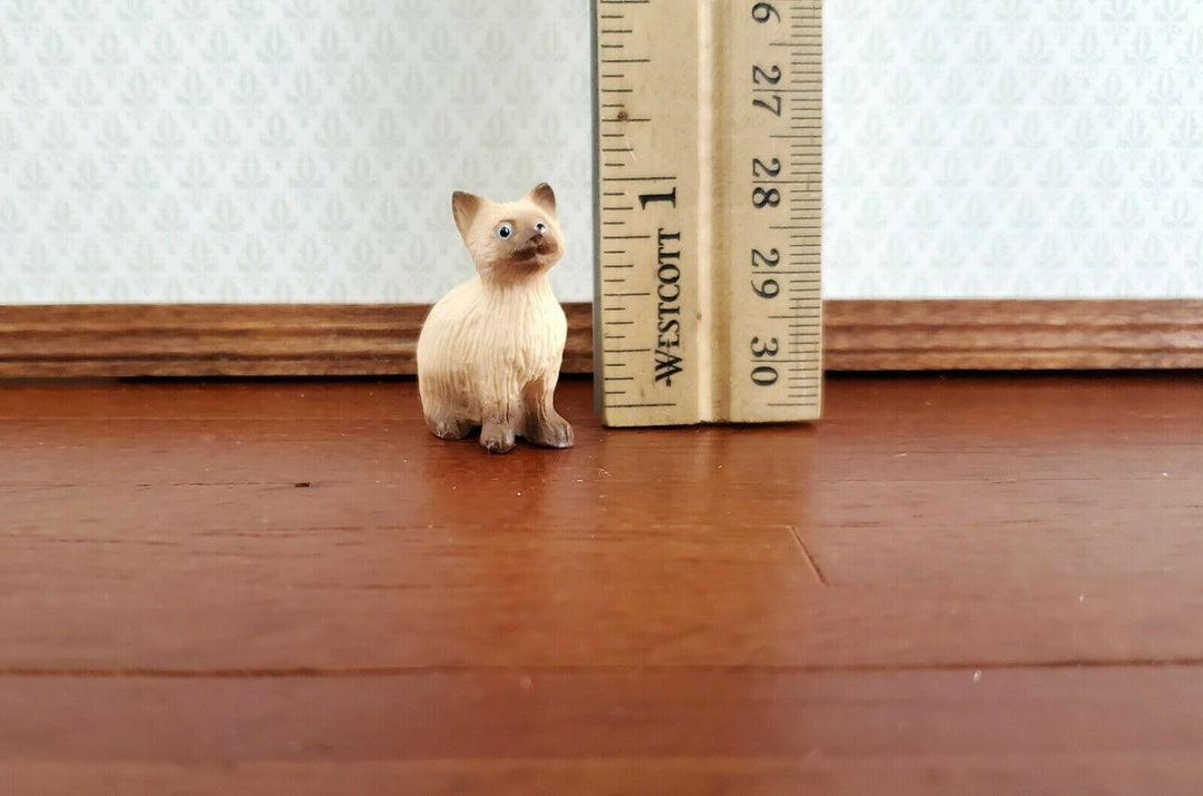 Dollhouse Miniature Kitty Cat Himalayan Siamese Sitting 1:12 Scale Pets A2959SB - Miniature Crush