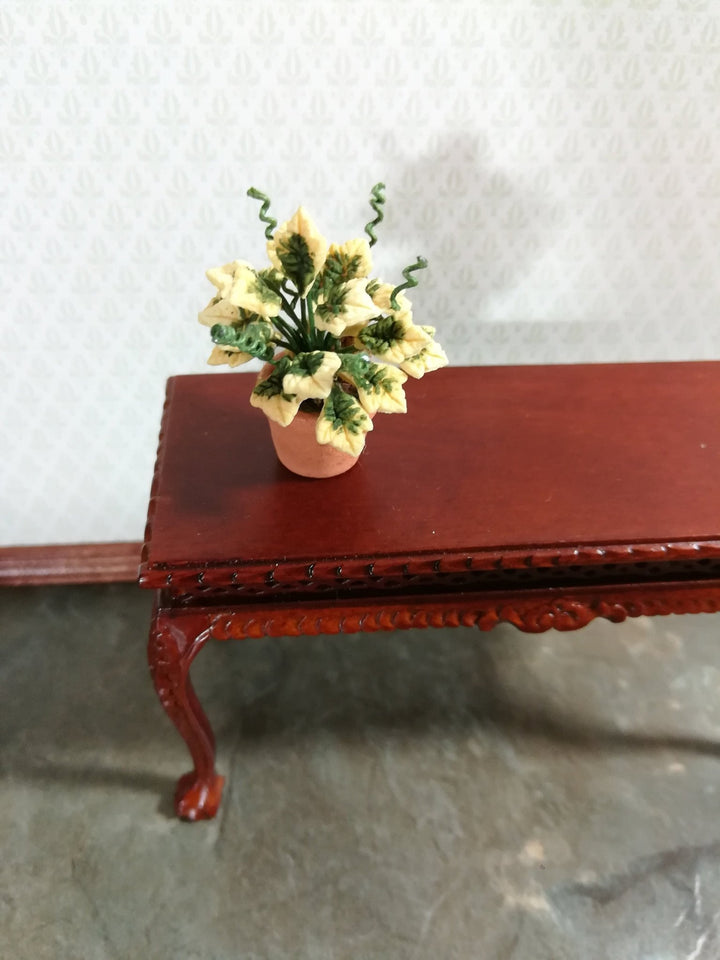 Dollhouse Miniature Plant Variegated English Ivy in Terra Cotta Pot 1:12 Scale - Miniature Crush
