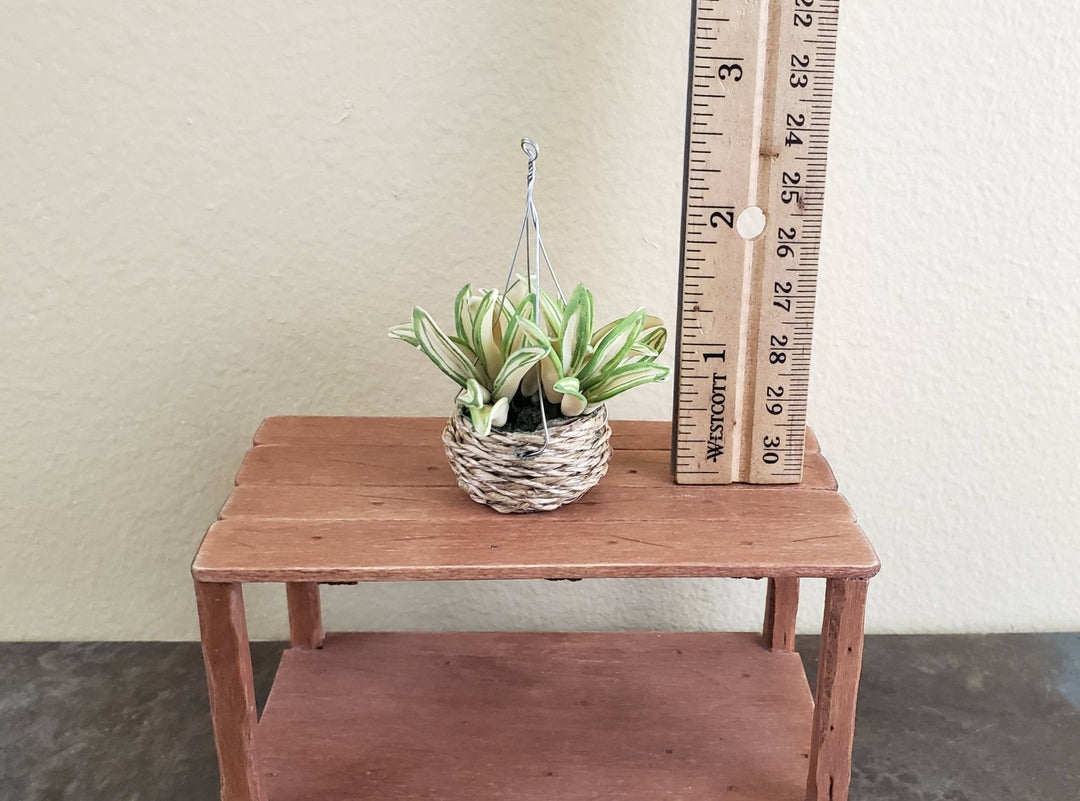Dollhouse Miniature Spider Plant Hanging Basket 1:12 Scale Houseplant - Miniature Crush