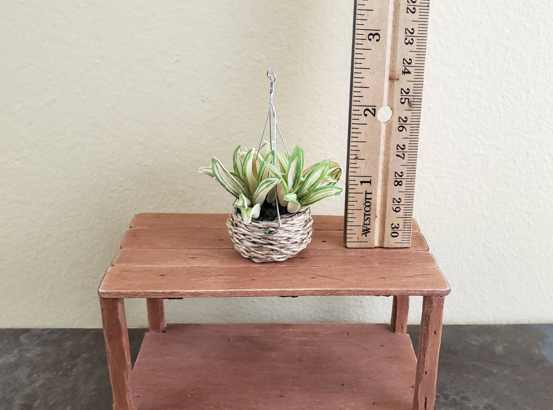 spider plant hanging basket Dollhouse Miniature Spider Plant Hanging Basket 1:12 Scale Houseplant