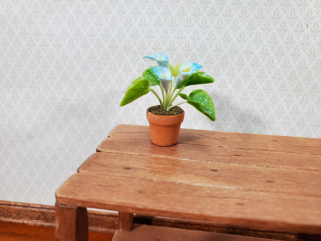 Dollhouse Potted Calla Lily Blue & White Flowering Plant in Clay Pot 1:12 Scale Miniature - Miniature Crush