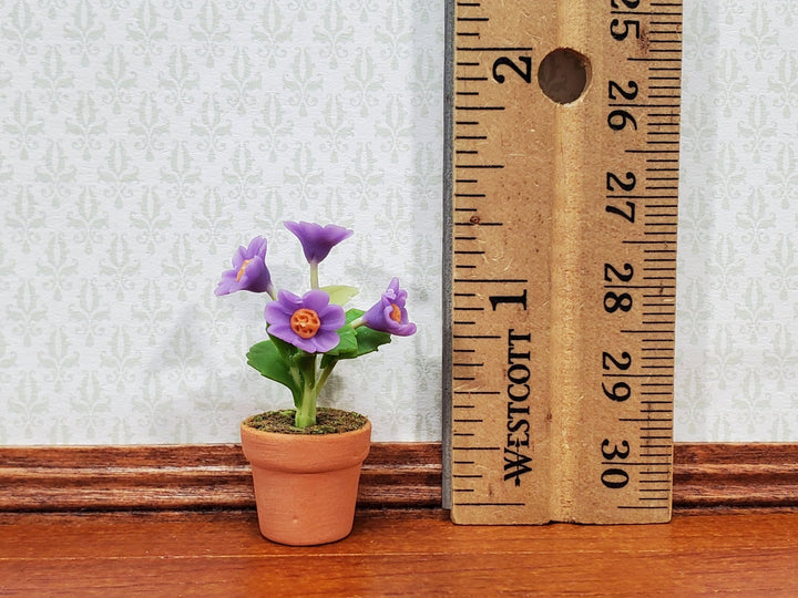 Dollhouse Potted Flowers Purple Daisy Plant 1:12 Scale Houseplant Garden in Terra Cotta Pot - Miniature Crush