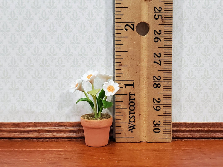 Dollhouse Potted Flowers White Daisy Plant 1:12 Scale Houseplant Garden in Terra Cotta Pot - Miniature Crush