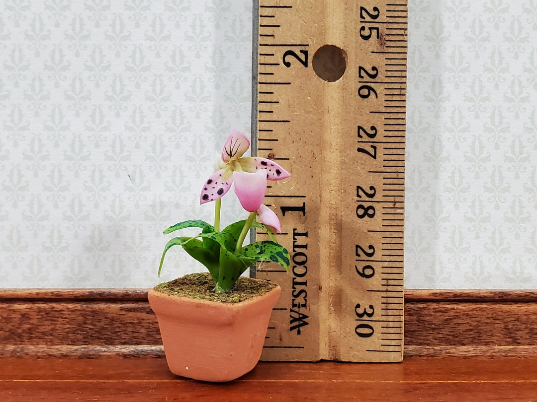 Dollhouse Potted Orchid Pink & White Flowering Plant in Terra Cotta Pot 1:12 Scale Miniature - Miniature Crush