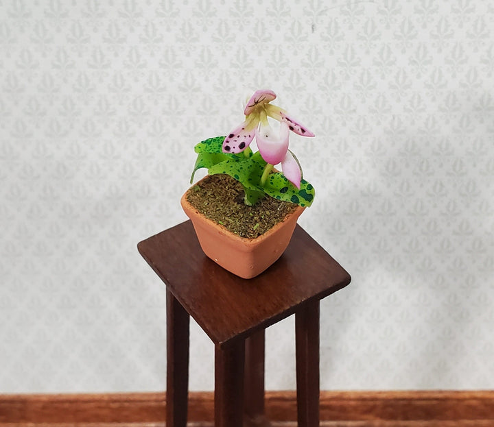 Dollhouse Potted Orchid Pink & White Flowering Plant in Terra Cotta Pot 1:12 Scale Miniature - Miniature Crush
