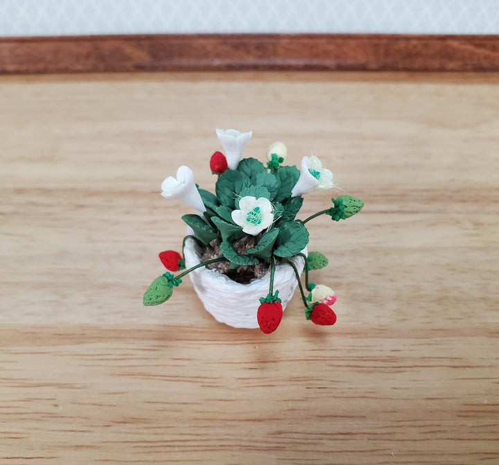 Dollhouse Potted Strawberry Plant in Bloom 1:12 Scale Miniature Garden - Miniature Crush