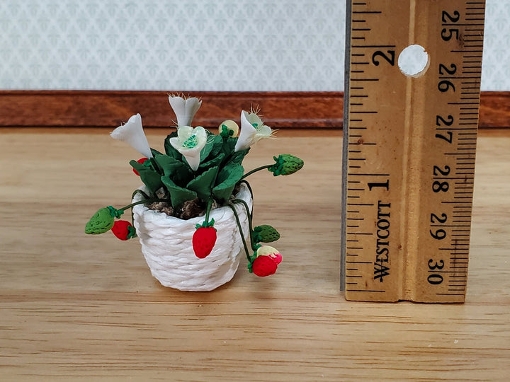 Dollhouse Potted Strawberry Plant in Bloom 1:12 Scale Miniature Garden - Miniature Crush