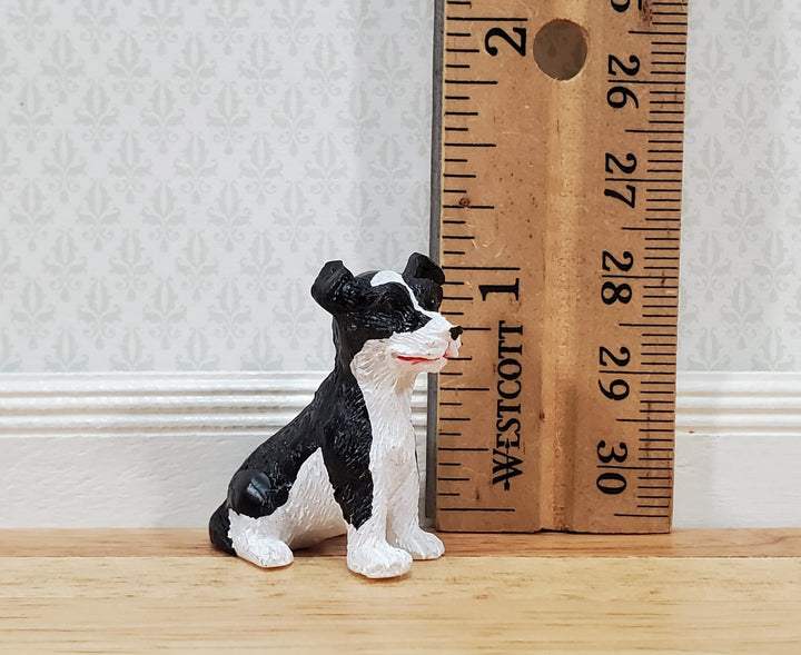 Dollhouse Puppy Dog Border Collie Sitting 1:12 Scale Miniature Pet Cast Resin - Miniature Crush