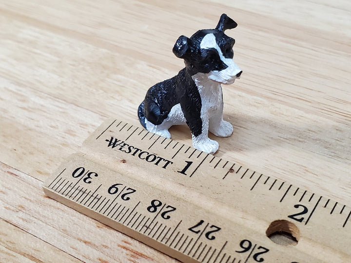 Dollhouse Puppy Dog Border Collie Sitting 1:12 Scale Miniature Pet Cast Resin - Miniature Crush