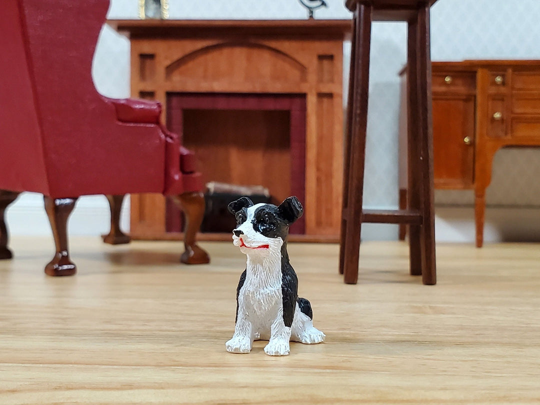 Dollhouse Puppy Dog Border Collie Sitting 1:12 Scale Miniature Pet Cast Resin - Miniature Crush