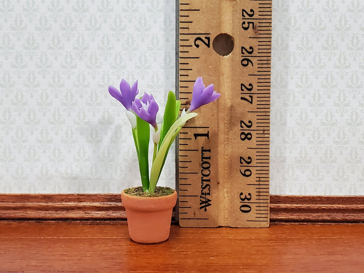 Dollhouse Purple Tulips in a Terra Cotta Planter 1:12 Scale Miniature Plant - Miniature Crush