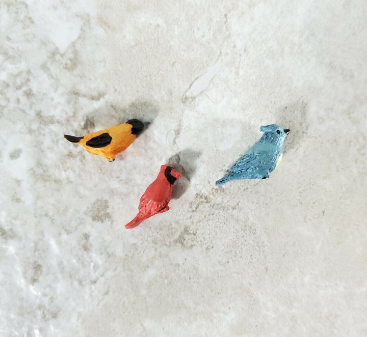 Dollhouse Songbirds Set of 3 Resin Blue Jay Cardinal Oriole 3/4" Birds - Miniature Crush