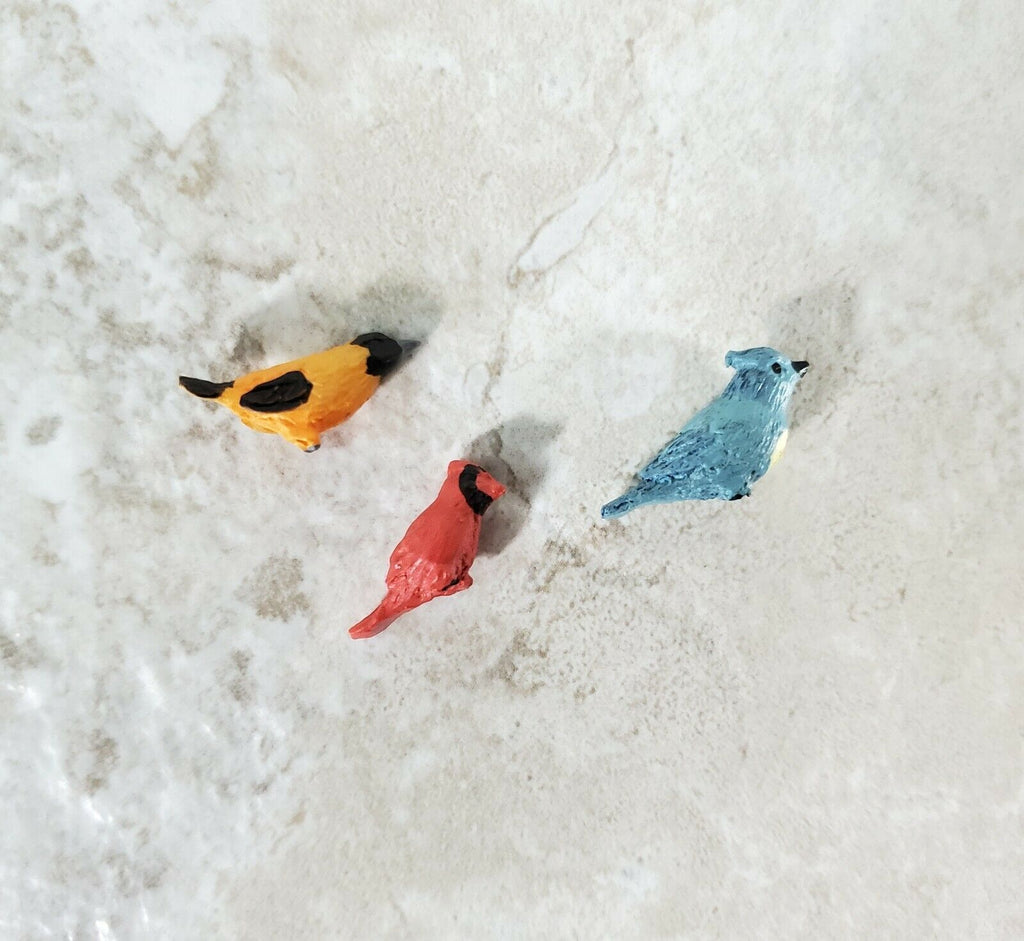 Dollhouse Songbirds Set of 3 Resin Blue Jay Cardinal Oriole 3/4 Birds -  Miniature Crush