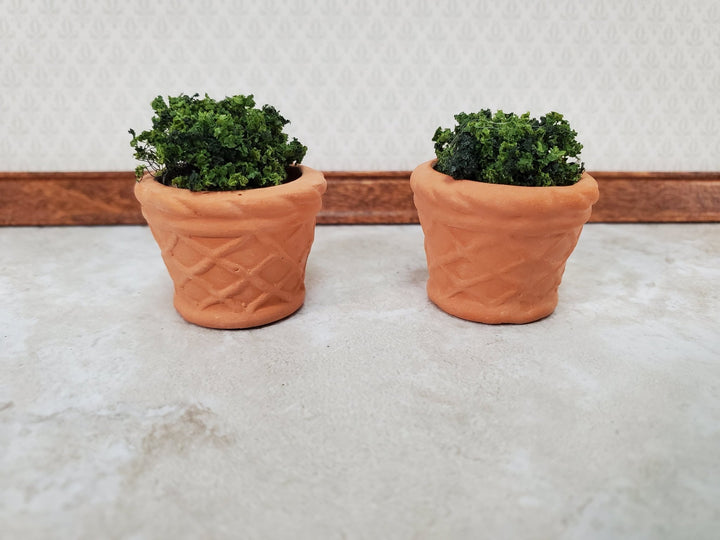 Dollhouse Terra Cotta Pots Planters Set of 2 Unglazed 1:12 Scale Miniatures for Plants or Garden - Miniature Crush