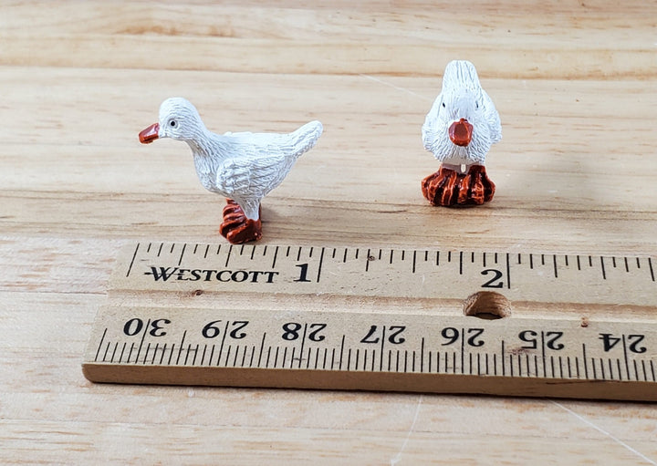 Dollhouse White Ducks Set of 2 1:12 Scale Miniature Pet Orange Feet - Miniature Crush