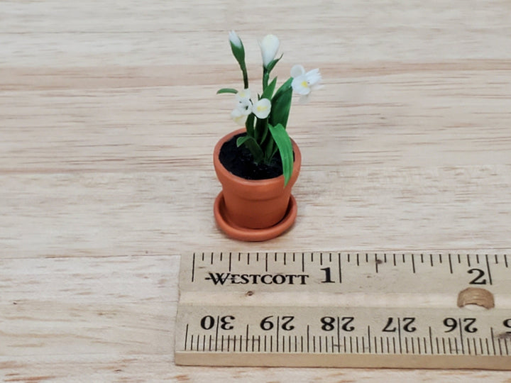 Dollhouse White Irises Plant in Terra Cotta Planter Pot 1:12 Scale Garden Flowers by Falcon Miniatures - Miniature Crush