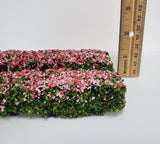 Flowering Hedge Pink & Green Model RR Dioramas Dollhouses Scenery - Miniature Crush