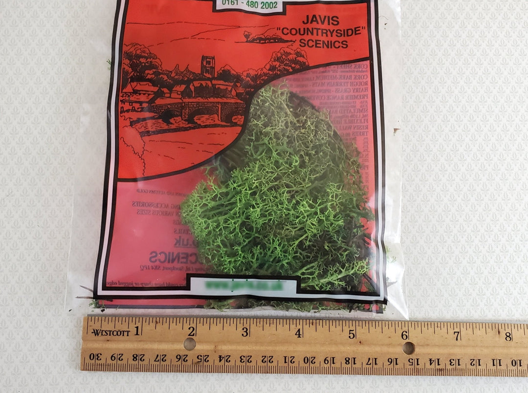 Javis Lichen Dark Green Colors Model RR Dioramas Grass Scenery JDGLS - Miniature Crush