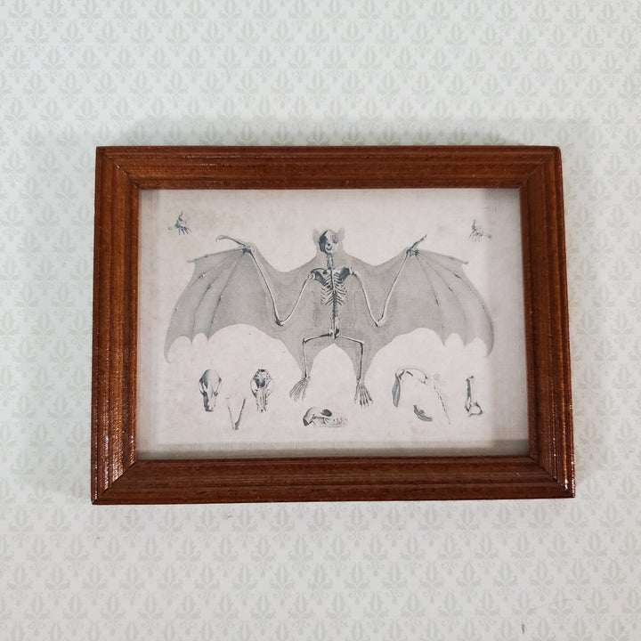 Miniature Bat Skeleton Print 1838 Drawing 1:12 Scale Halloween Haunted House - Miniature Crush