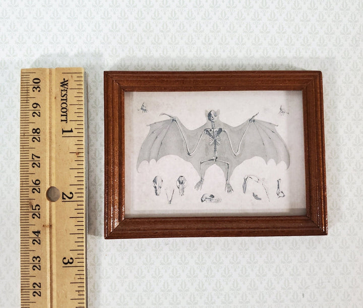 Miniature Bat Skeleton Print 1838 Drawing 1:12 Scale Halloween Haunted House - Miniature Crush