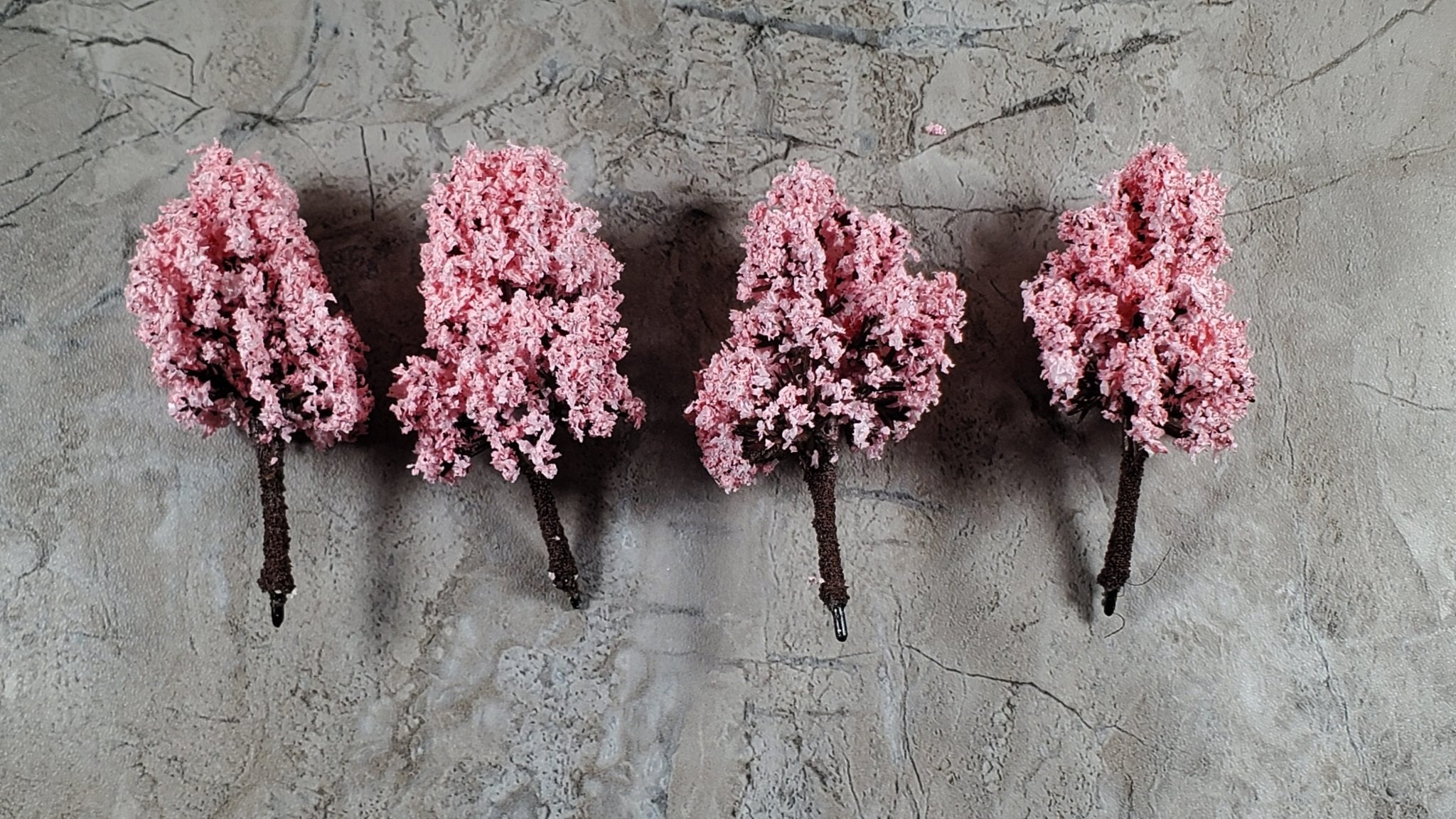 Miniature Cherry Tree or Shrub Bush 3