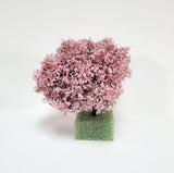Miniature Flowering Cherry Tree or Bush Large Pink & White 4" Tall - Miniature Crush