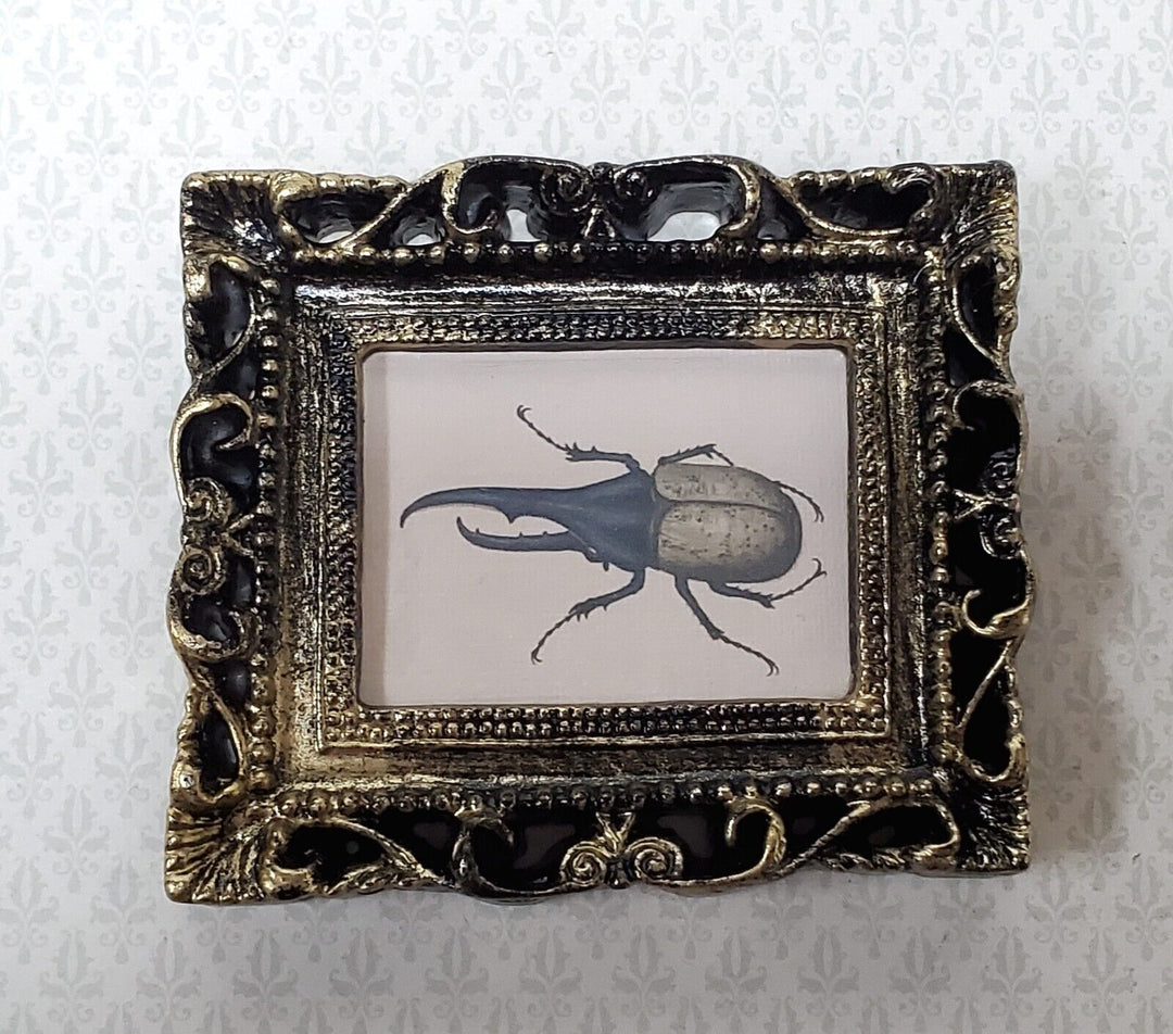 Miniature Hercules Beetle Framed Print 1:12 Scale Miniature Picture - Miniature Crush