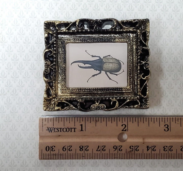Miniature Hercules Beetle Framed Print 1:12 Scale Miniature Picture - Miniature Crush