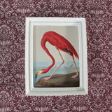 Miniature Pink Flamingo Print John James Audubon 1:12 Scale Dollhouse - Miniature Crush