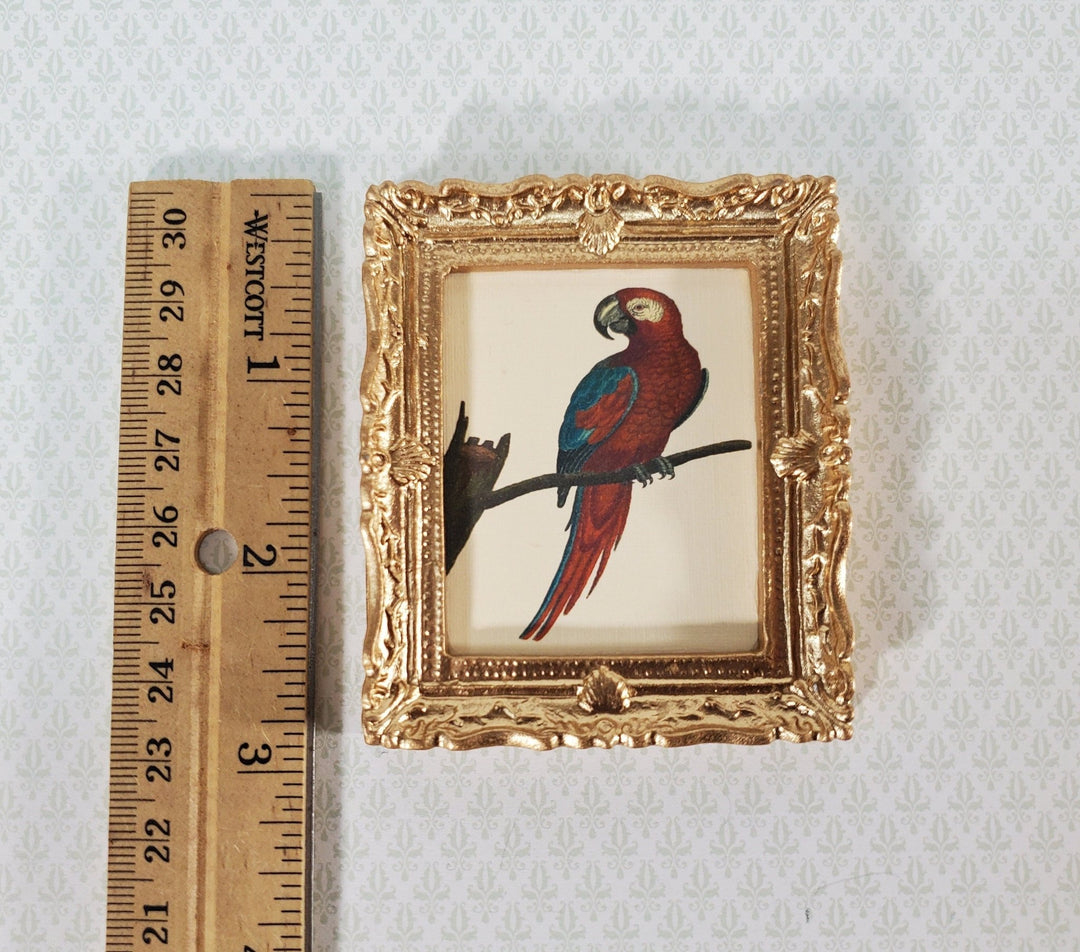 Miniature Red Parrot Vintage Framed Art Print in Gold Frame 1:12 Scale Dollhouse - Miniature Crush