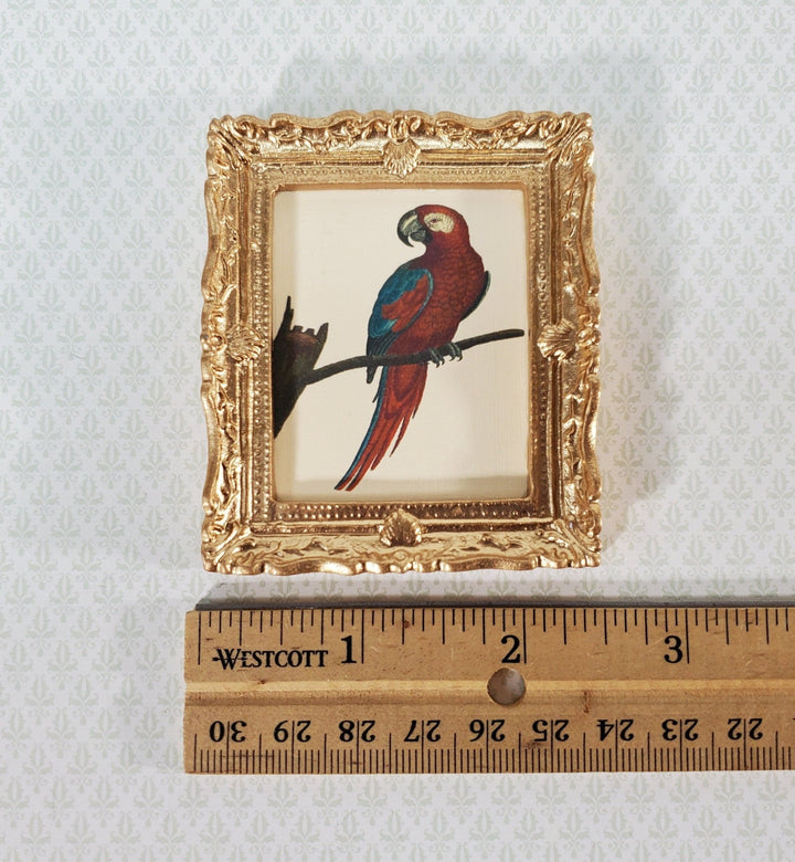 Miniature Red Parrot Vintage Framed Art Print in Gold Frame 1:12 Scale Dollhouse - Miniature Crush