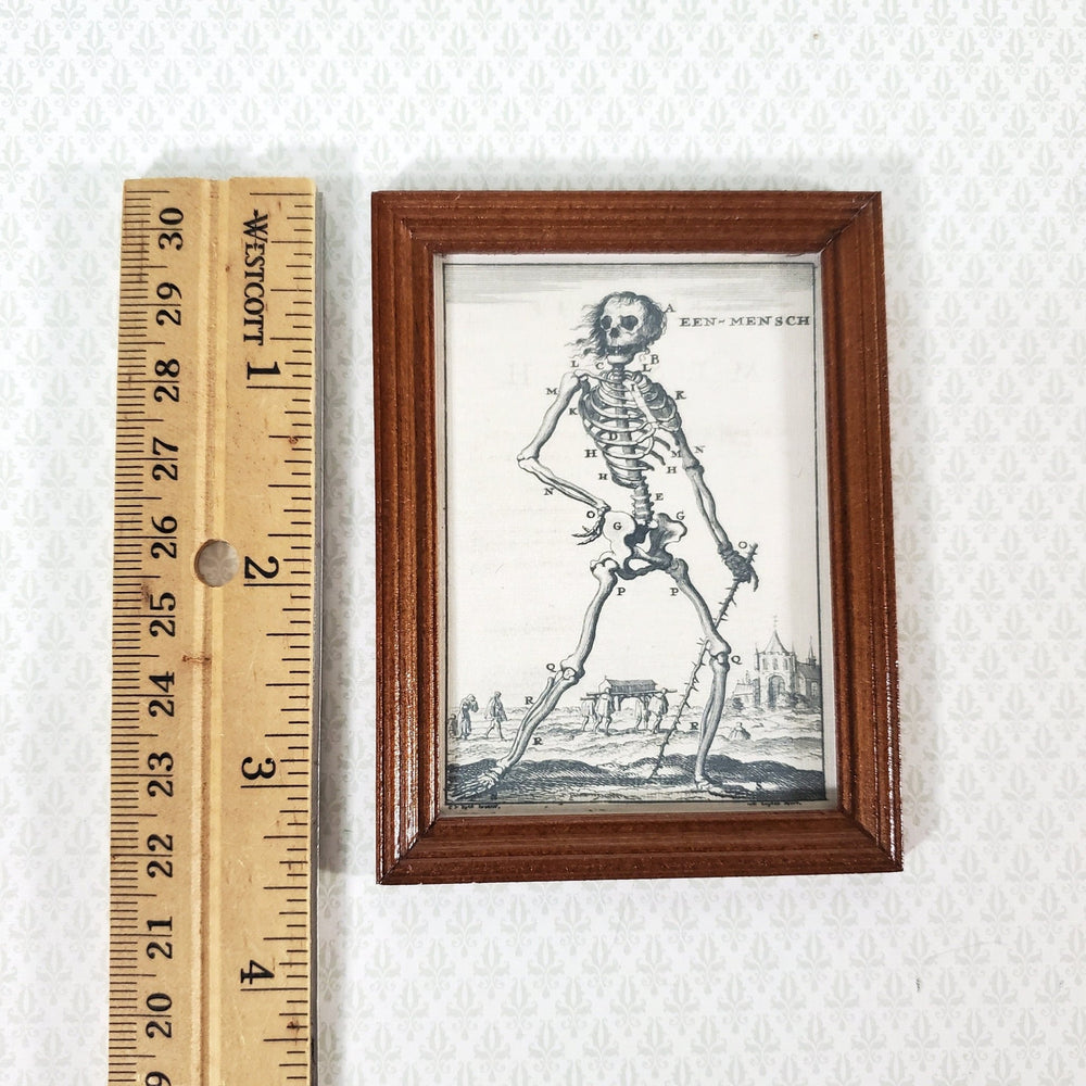 Miniature Skeleton Print Een Mensch 1680 Drawing 1:12 Scale Halloween Haunted House - Miniature Crush